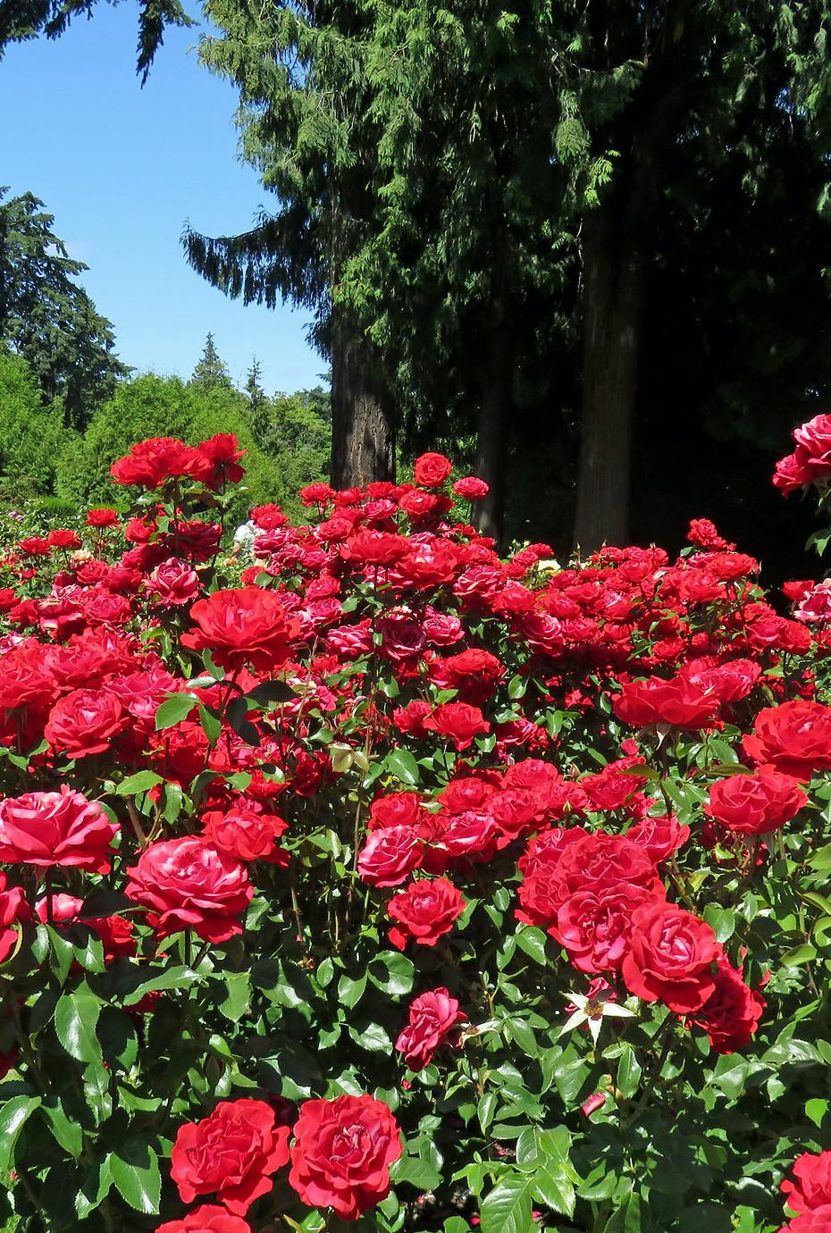 Gardens